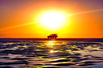 Moreton Island Photo Workshop 2024
